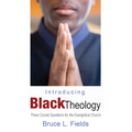 Introducing Black Theology