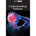 Understanding Violence