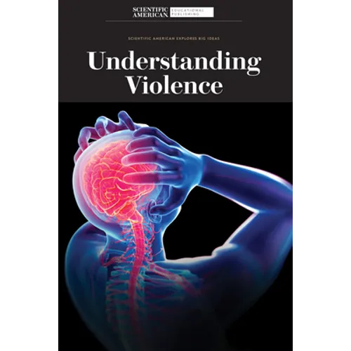 Understanding Violence