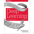 Deep Learning: A Practitioner's Approach