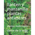 llanten y manzanilla plantas antiestres: plantas medicinales