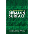 The Concept of a Riemann Surface