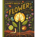 What's Inside a Flower?: And Other Questions about Science & Nature