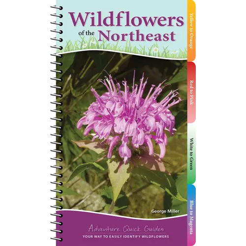 Wildflowers of the Northeast: Your Way to Easily Identify Wildflowers