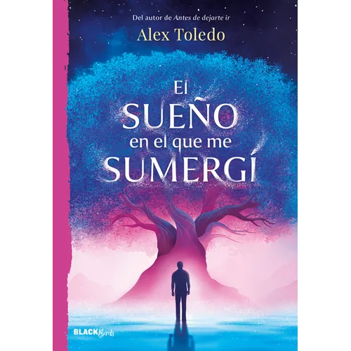 El Sueño En El Que Me Sumergí / The Dream I Was Immersed in