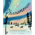 Phenomenon: Marvels of Nature from the Big Bang to the Northern Lights
