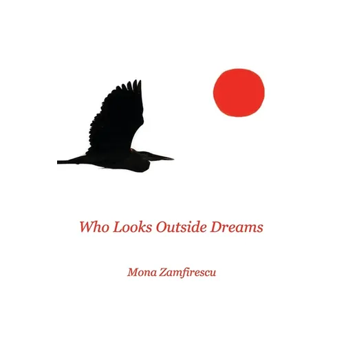Who Looks Outside Dreams