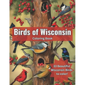 Birds of Wisconsin Coloring Book: Color the Birds of Wisconsin While Learning About Them