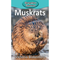 Muskrats
