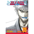 Bleach, Vol. 25: No Shaking Throne