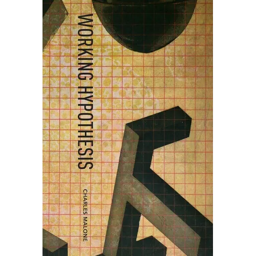 Working Hypothesis