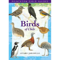 Birds of Chile