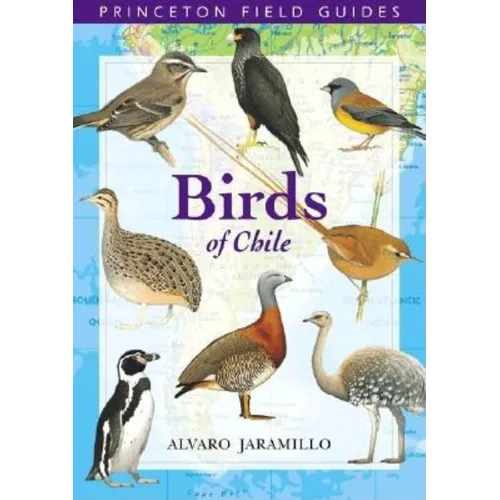 Birds of Chile