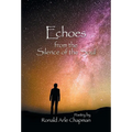 Echoes from the Silence of the Soul