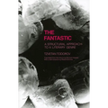 Fantastic: A Structural Approach to a Literary Genre