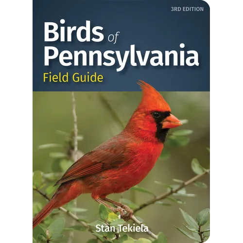 Birds of Pennsylvania Field Guide