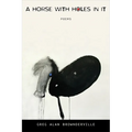 A Horse with Holes in It: Poems