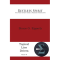 Restless Spirit: The Holy Spirit from a Process Perspective