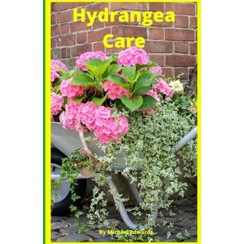 Hydrangea Care: How To Care For Hydrangeas For Beginners - Easy Home Gardening