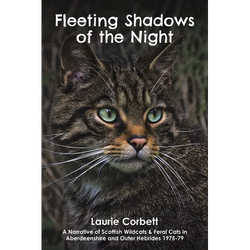 Fleeting Shadows of the Night
