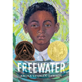 Freewater (Newbery & Coretta Scott King Award Winner)