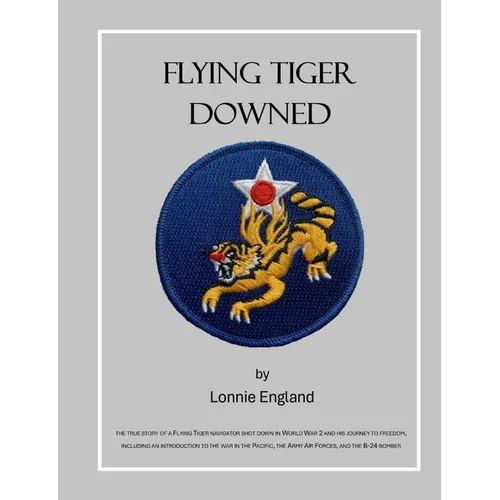 Flying Tiger Downed