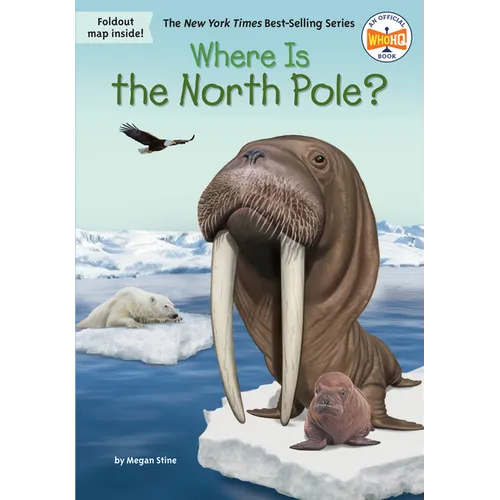 Where Is the North Pole?