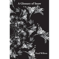 A Glossary of Snow