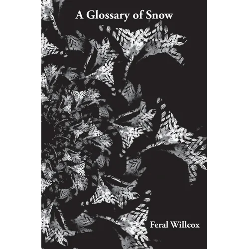 A Glossary of Snow