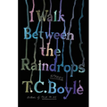 I Walk Between the Raindrops