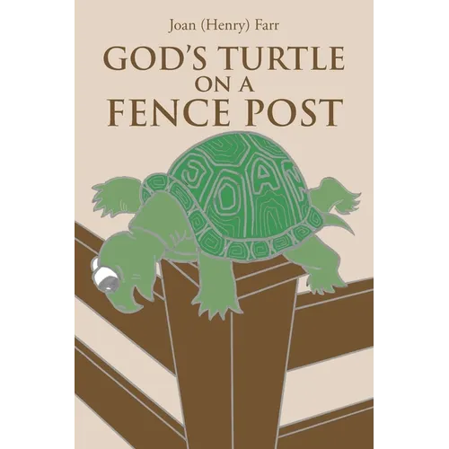 God's Turtle on a Fence Post