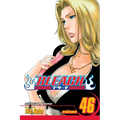Bleach, Vol. 46: Back from Blind
