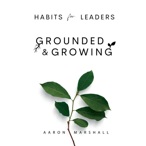 Habits for Leaders, Grounded and Growing: 20 Habits for Executive Leadership