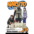 Naruto, Vol. 34: The Reunion
