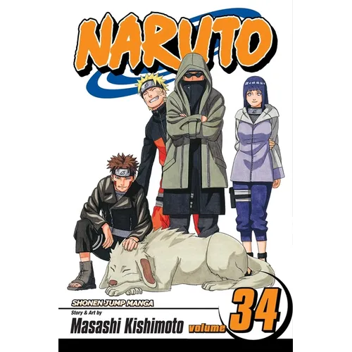 Naruto, Vol. 34: The Reunion