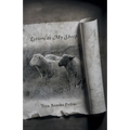 Letters to My Sheep