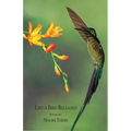 Like a Bird Released