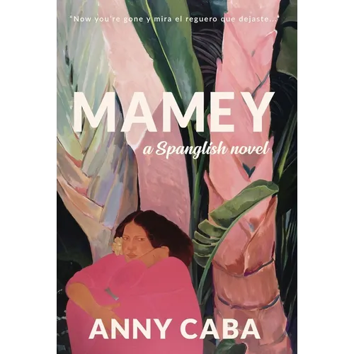 Mamey: a Spanglish novel