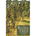 The Guava Tree
