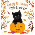 Happy Halloween, Little Black Cat: A Board Book