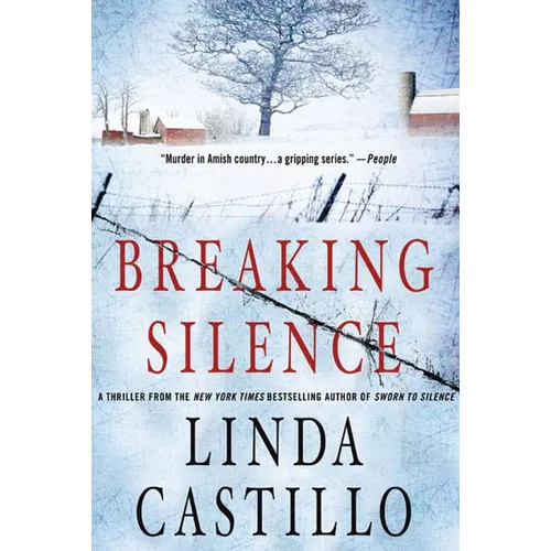Breaking Silence: A Kate Burkholder Novel