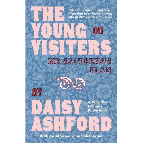 The Young Visiters: Or Mr Salteena's Plan