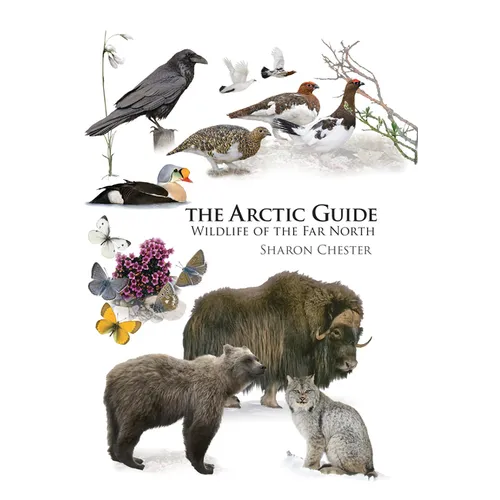 The Arctic Guide: Wildlife of the Far North