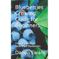 Blueberries Growing Guide for Beginners: Choosing the Right Varieties of Blueberries