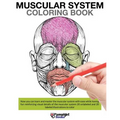 Muscular System Coloring Book