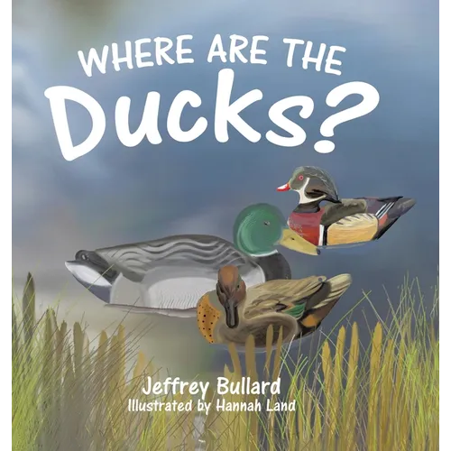 Where Are the Ducks?