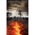 Demian (Spanish edition)