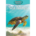 Sea Turtles
