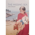 The Missing Sea