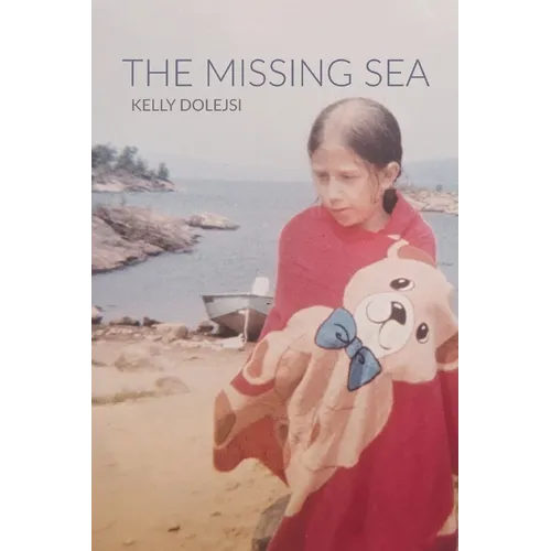 The Missing Sea